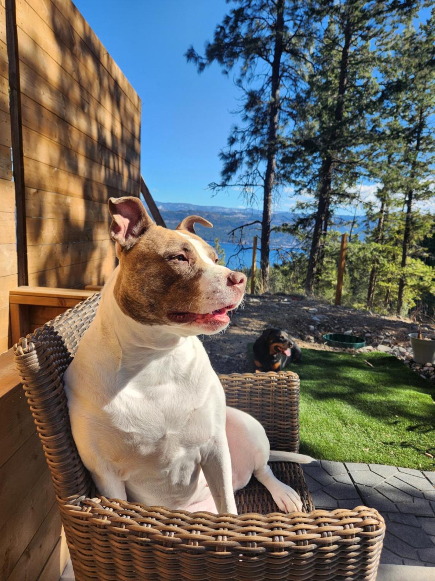 Elysian Lakeview Retreat *