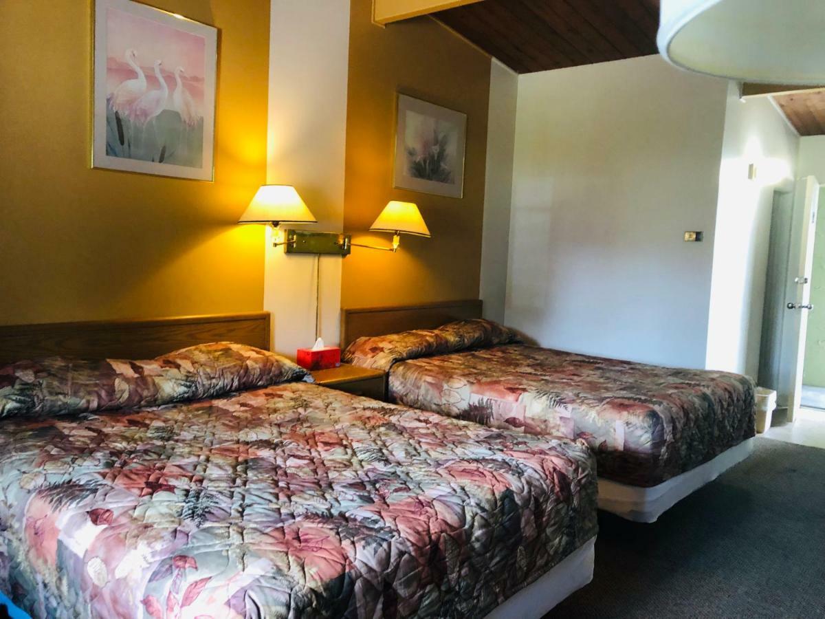 Motel Polson Park 2*